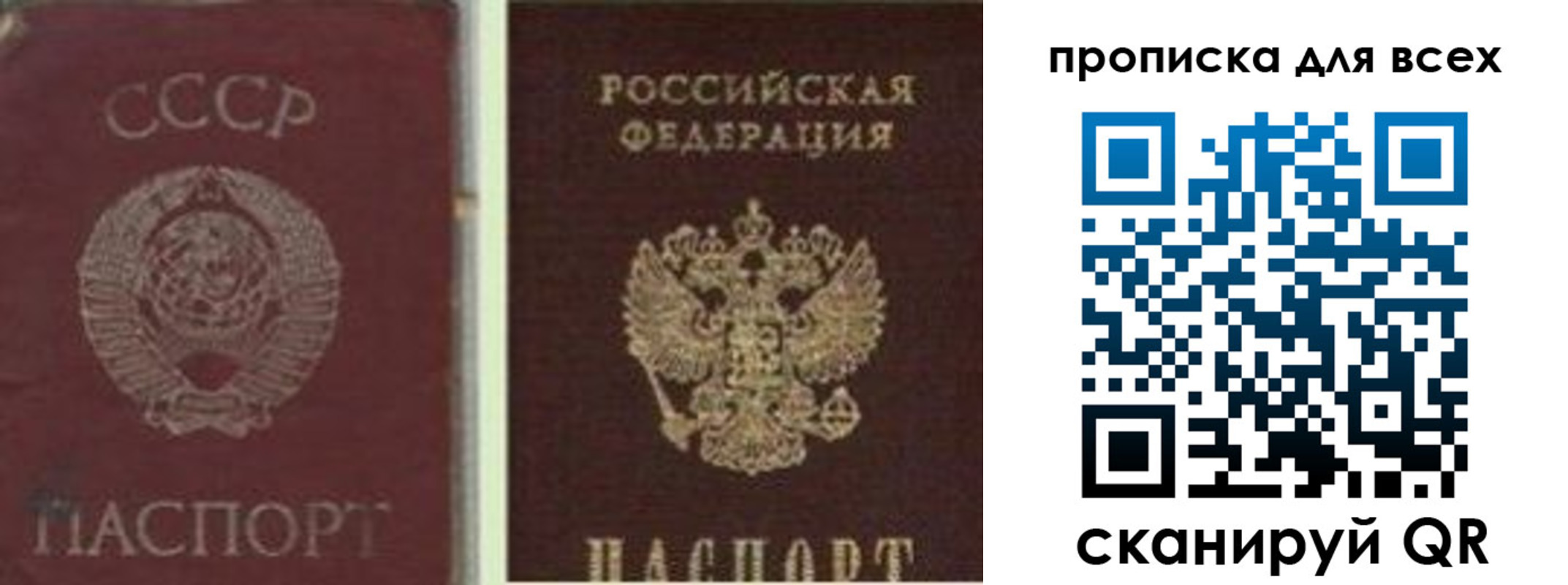 временная регистрация надежно в Камчатской области
